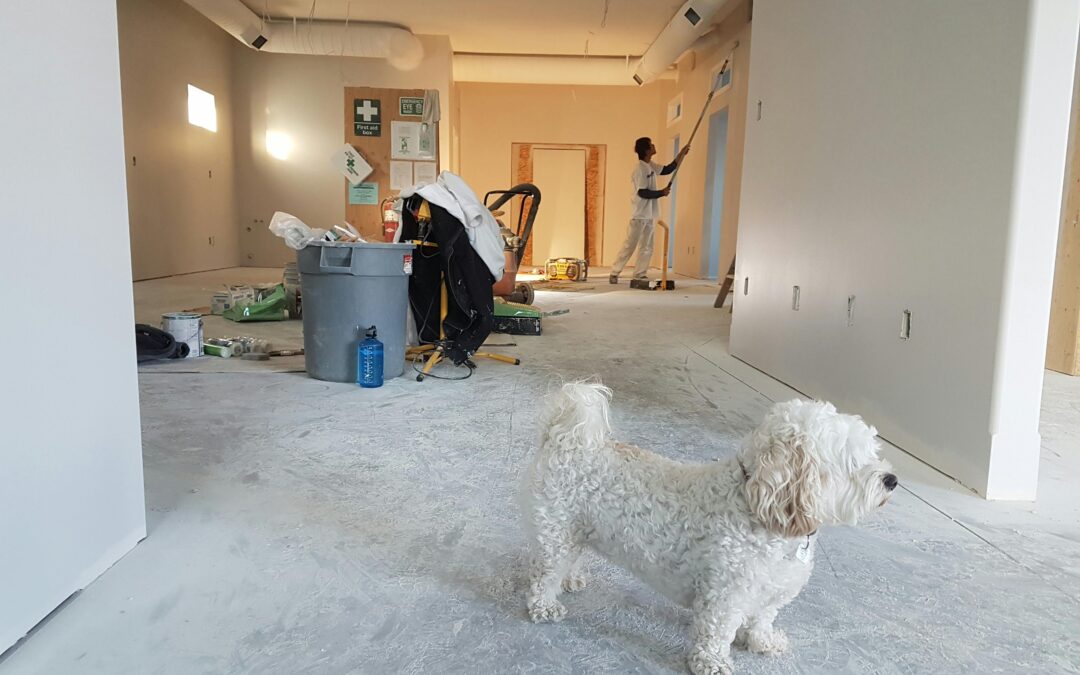 toronto home renovation asbestos