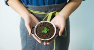 Person holding a plant in a mug 